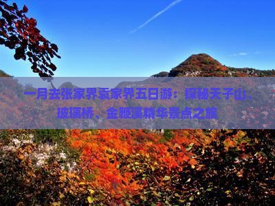一月去张家界袁家界五日游：探秘天子山、玻璃桥、金鞭溪精华景点之旅
