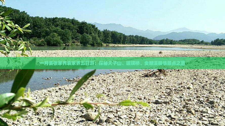 一月去张家界袁家界五日游：探秘天子山、玻璃桥、金鞭溪精华景点之旅