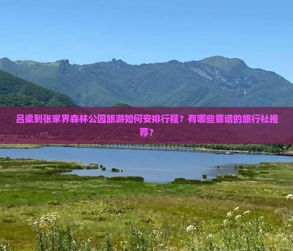 吕梁到张家界森林公园旅游如何安排行程？有哪些靠谱的旅行社推荐？