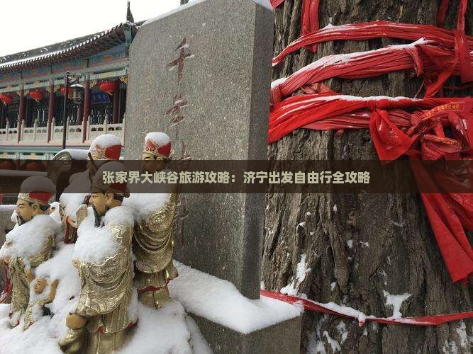 张家界大峡谷旅游攻略：济宁出发自由行全攻略