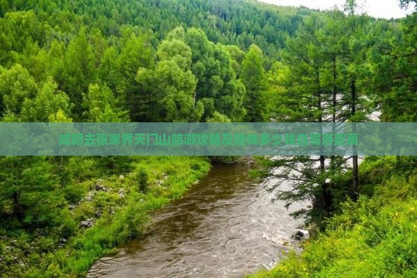 咸阳去张家界天门山旅游攻略及路线多少钱自驾游距离
