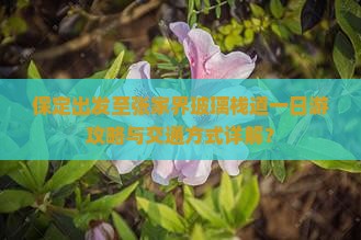 保定出发至张家界玻璃栈道一日游攻略与交通方式详解？