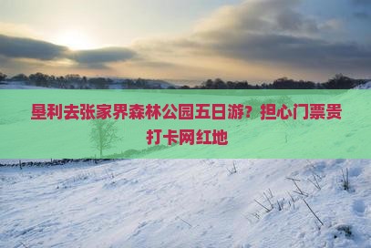 垦利去张家界森林公园五日游？担心门票贵+打卡网红地