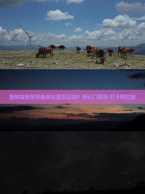 垦利去张家界森林公园五日游？担心门票贵+打卡网红地