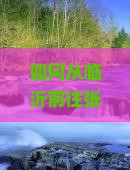 如何从临沂前往张家界芙蓉镇旅游？临沂到张家界芙蓉镇的交通方式及景点攻略？