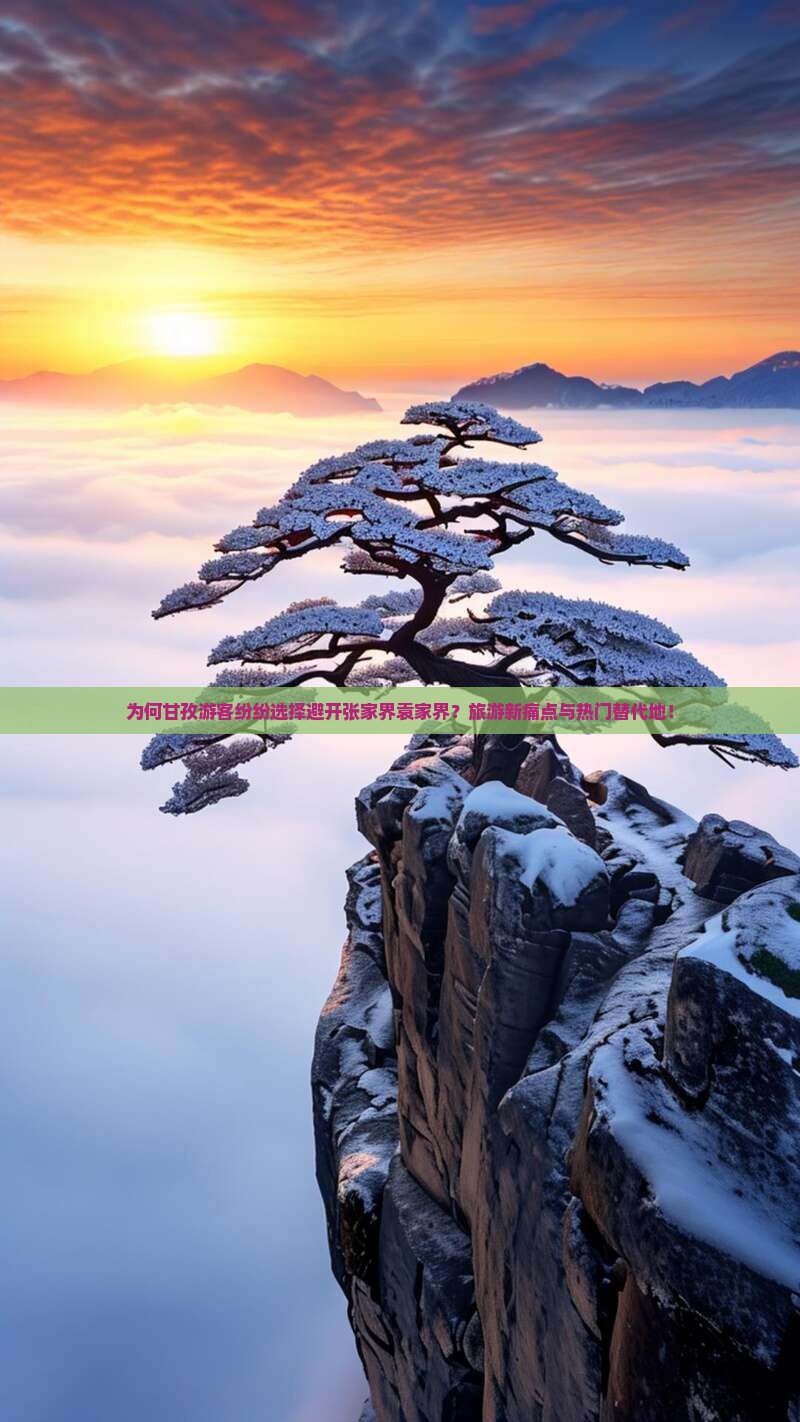 为何甘孜游客纷纷选择避开张家界袁家界？旅游新痛点与热门替代地！
