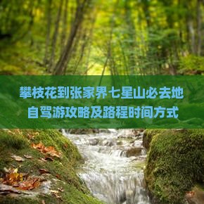 攀枝花到张家界七星山必去地自驾游攻略及路程时间方式