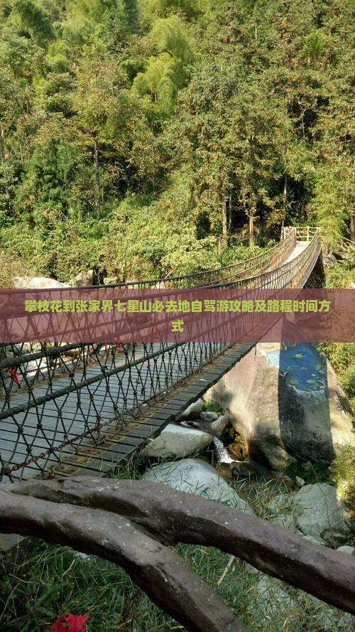 攀枝花到张家界七星山必去地自驾游攻略及路程时间方式