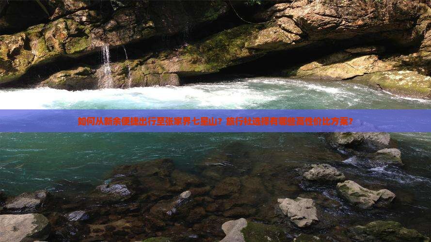 如何从新余便捷出行至张家界七星山？旅行社选择有哪些高性价比方案？