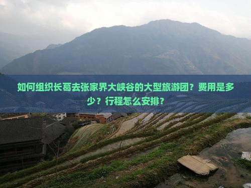 如何组织长葛去张家界大峡谷的大型旅游团？费用是多少？行程怎么安排？