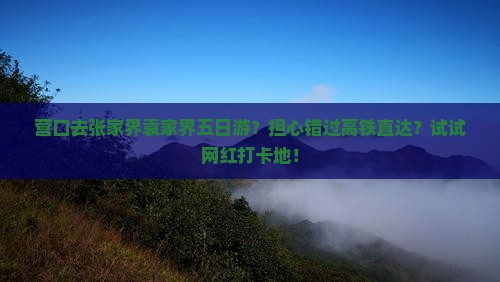 营口去张家界袁家界五日游？担心错过高铁直达？试试网红打卡地！
