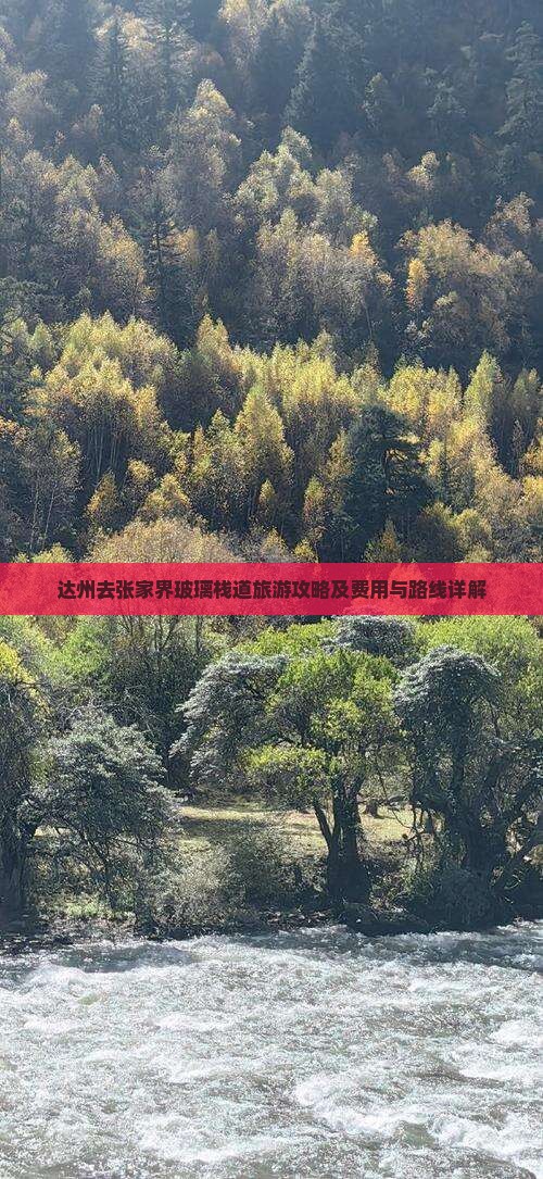达州去张家界玻璃栈道旅游攻略及费用与路线详解