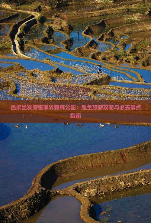 吕梁出发游张家界森林公园:超全旅游攻略与必去景点指南 吕梁出发游张家界森林公园:超全旅游攻略与必去景点指南