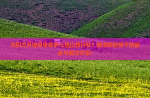 为何三月选择张家界七星山旅行社?旅游新趋势下的痛点与解决方案! 为何三月选择张家界七星山旅行社?旅游新趋势下的痛点与解决方案!