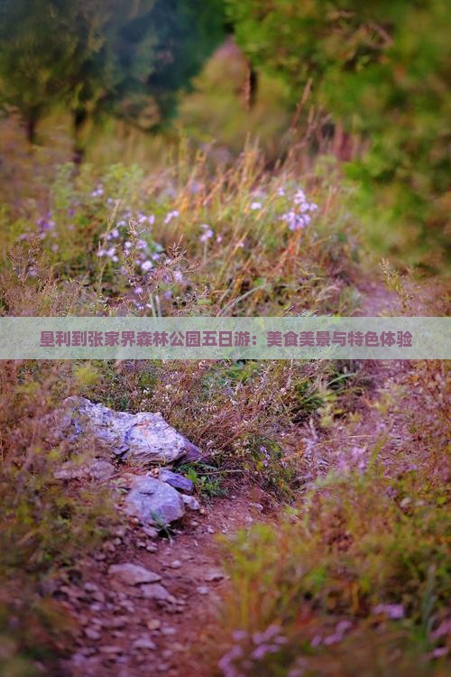 垦利到张家界森林公园五日游：美食美景与特色体验