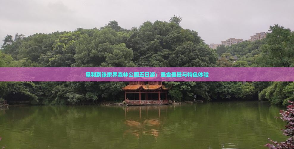 垦利到张家界森林公园五日游：美食美景与特色体验