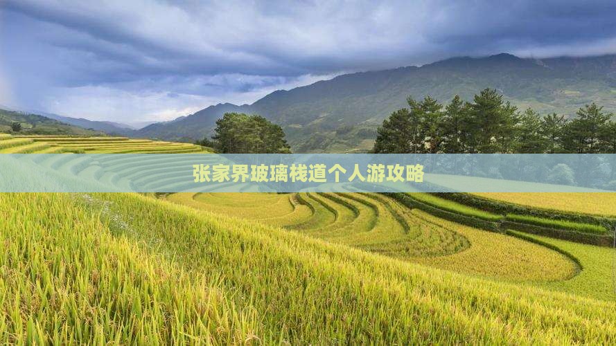 张家界玻璃栈道个人游攻略 张家界玻璃栈道个人游攻略
