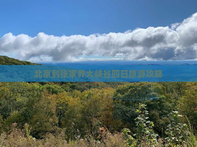 北京到张家界大峡谷四日旅游攻略