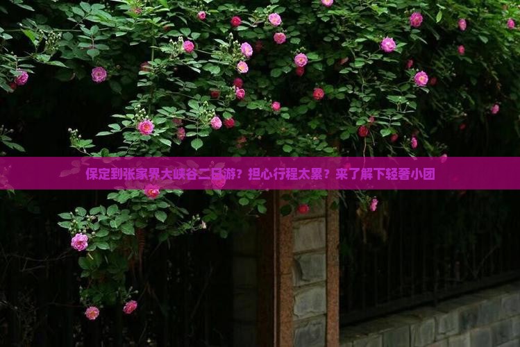 保定到张家界大峡谷二日游？担心行程太累？来了解下轻奢小团