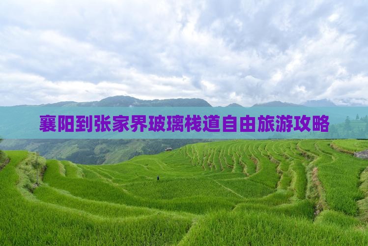 襄阳到张家界玻璃栈道自由旅游攻略