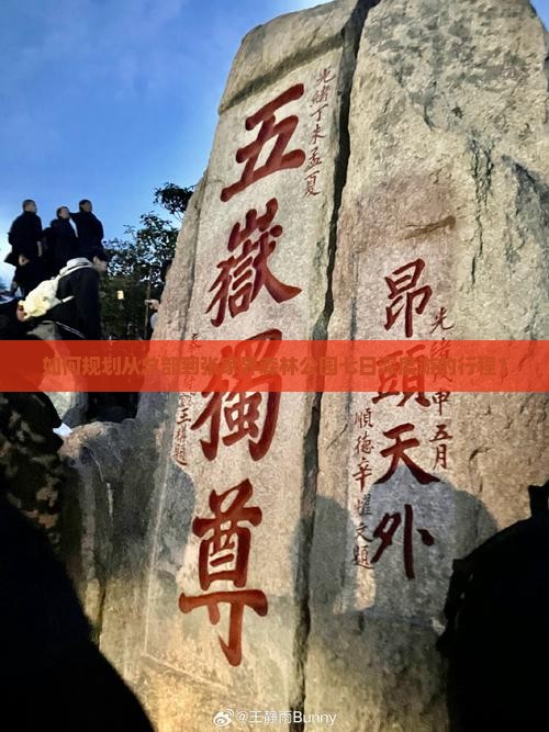 如何规划从总部到张家界森林公园七日深度游的行程？
