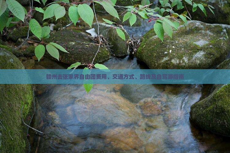 赣州去张家界自由团费用、交通方式、路线及自驾游指南