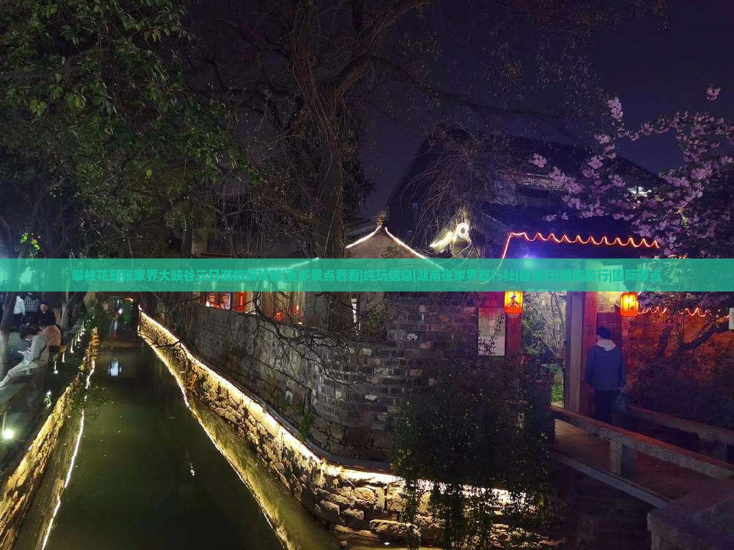 攀枝花到张家界大峡谷三日游旅游攻略|更多景点看看|纯玩信息|湖南张家界旅行社|自由行|湖南旅行|国际景点