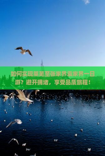 如何实现莱芜至张家界袁家界一日游？避开拥堵，享受品质旅程！