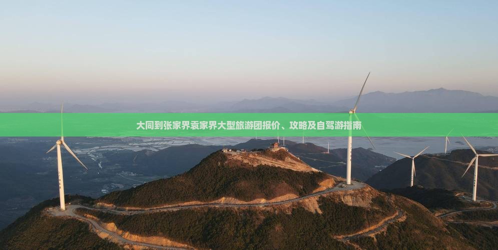 大同到张家界袁家界大型旅游团报价、攻略及自驾游指南