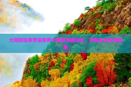 大同到张家界袁家界大型旅游团报价、攻略及自驾游指南