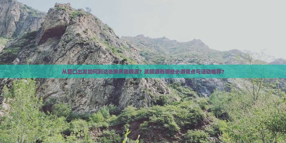 从营口出发如何到达张家界武陵源？武陵源有哪些必游景点与活动推荐？
