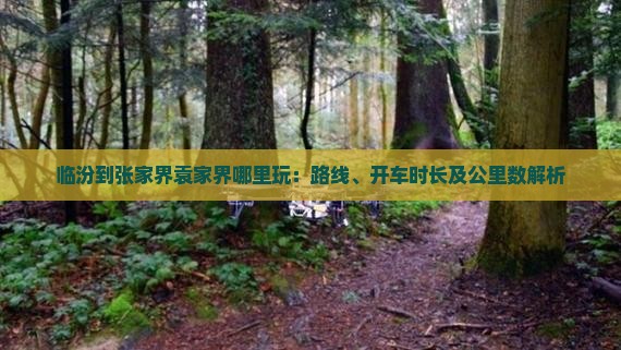 临汾到张家界袁家界哪里玩：路线、开车时长及公里数解析