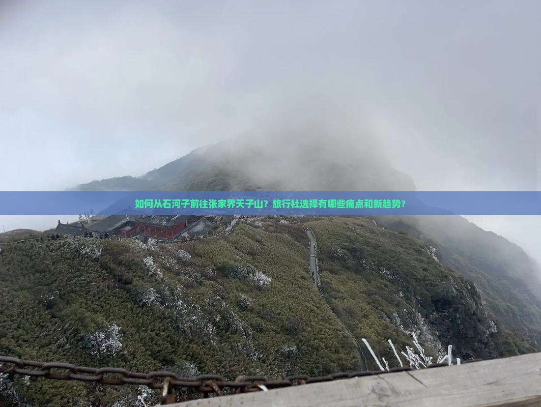 如何从石河子前往张家界天子山？旅行社选择有哪些痛点和新趋势？