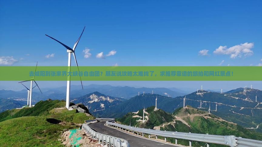 去咸阳到张家界大峡谷自由团？朋友说攻略太难找了，求推荐靠谱的旅拍和网红景点！