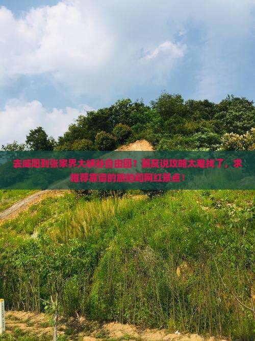 去咸阳到张家界大峡谷自由团？朋友说攻略太难找了，求推荐靠谱的旅拍和网红景点！