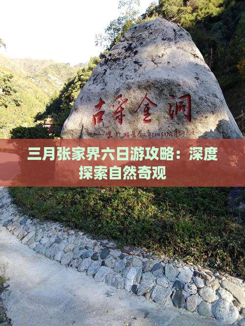 三月张家界六日游攻略：深度探索自然奇观