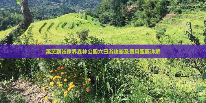 莱芜到张家界森林公园六日游攻略及费用距离详解
