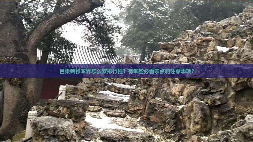吕梁到张家界怎么安排行程？有哪些必看景点和注意事项？