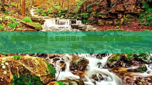 吕梁到张家界怎么安排行程？有哪些必看景点和注意事项？