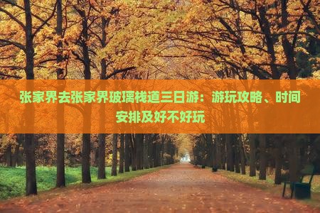 张家界去张家界玻璃栈道三日游：游玩攻略、时间安排及好不好玩