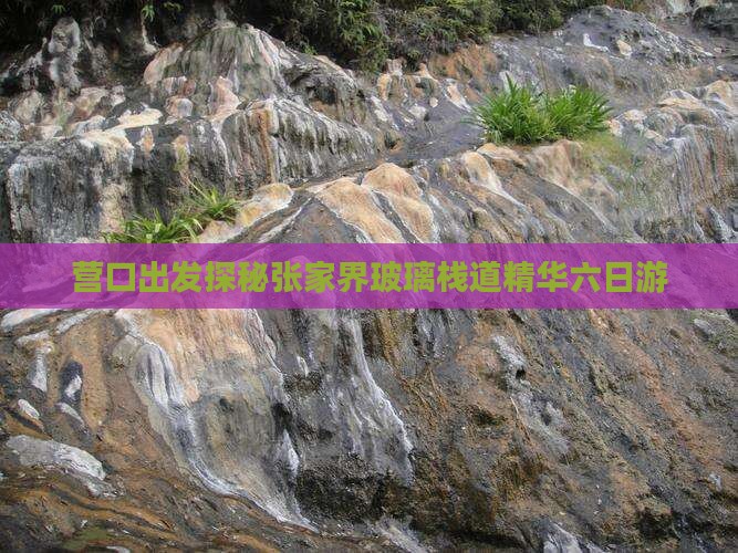 营口出发探秘张家界玻璃栈道精华六日游