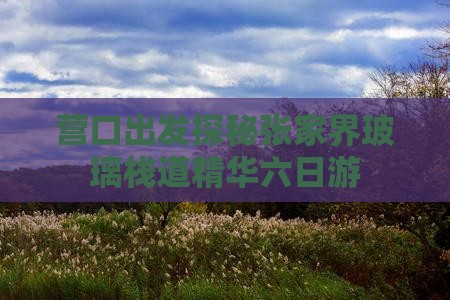 营口出发探秘张家界玻璃栈道精华六日游