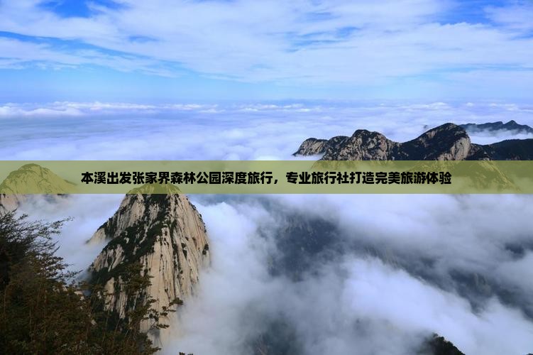 本溪出发张家界森林公园深度旅行，专业旅行社打造完美旅游体验