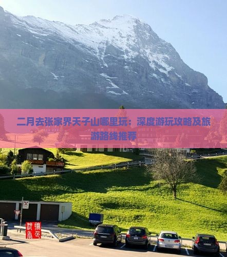 二月去张家界天子山哪里玩：深度游玩攻略及旅游路线推荐