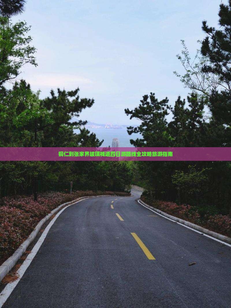 铜仁到张家界玻璃栈道四日游路线全攻略旅游指南