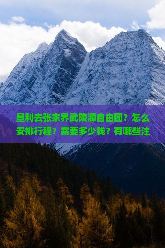 垦利去张家界武陵源自由团？怎么安排行程？需要多少钱？有哪些注意事项？