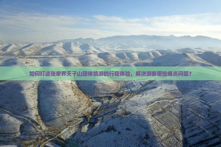 如何打造张家界天子山团体旅游的行程体验，解决游客哪些痛点问题？