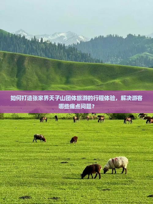 如何打造张家界天子山团体旅游的行程体验，解决游客哪些痛点问题？