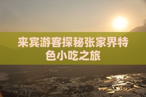 来宾游客探秘张家界特色小吃之旅