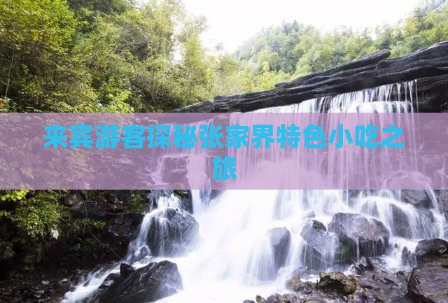 来宾游客探秘张家界特色小吃之旅